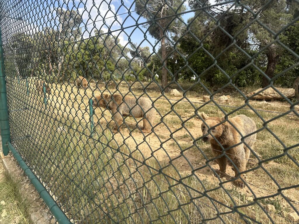 馬拉德鎮自然保護區動物收容情形