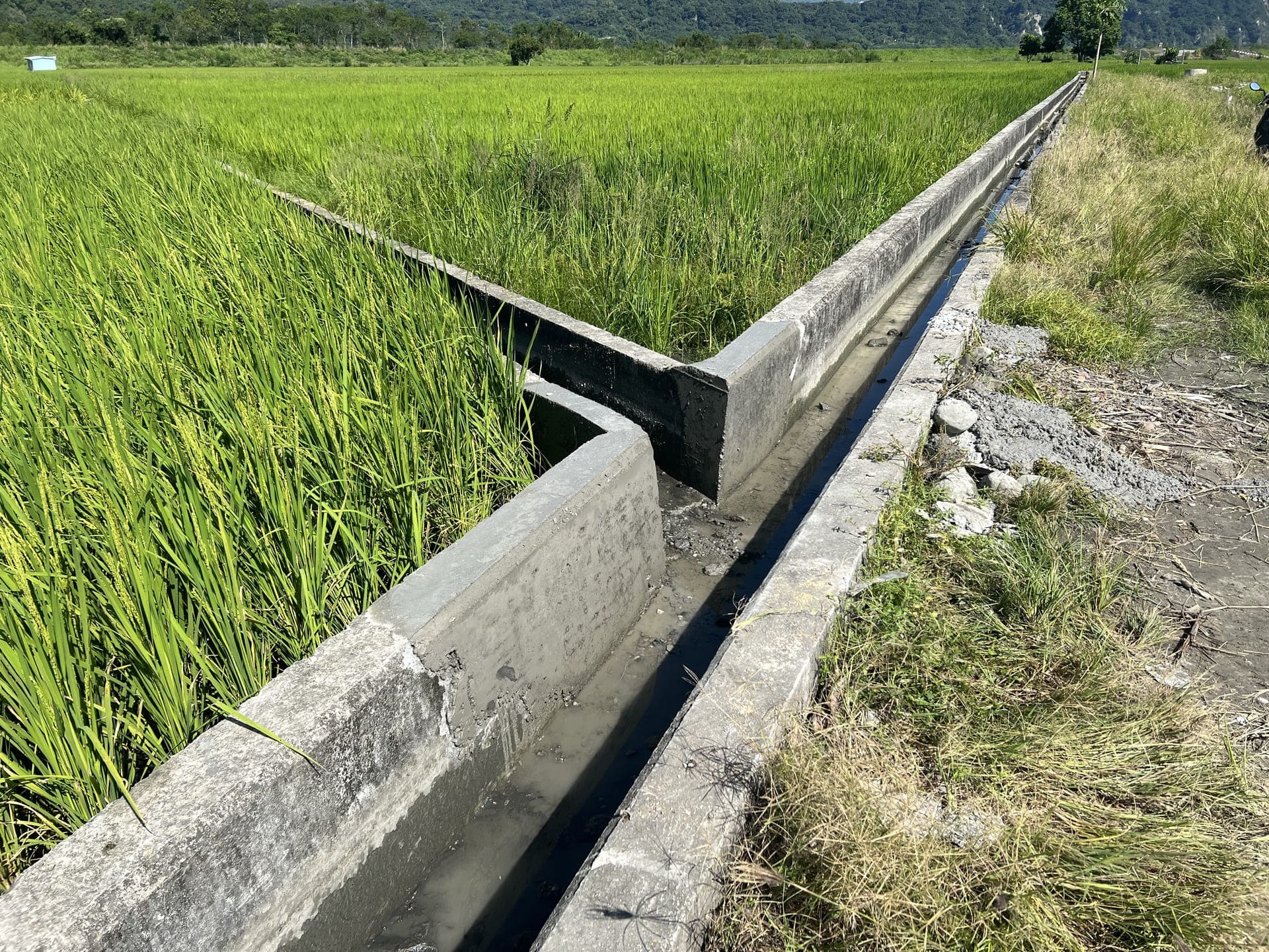 農田灌溉排水渠道修復情形（花蓮）