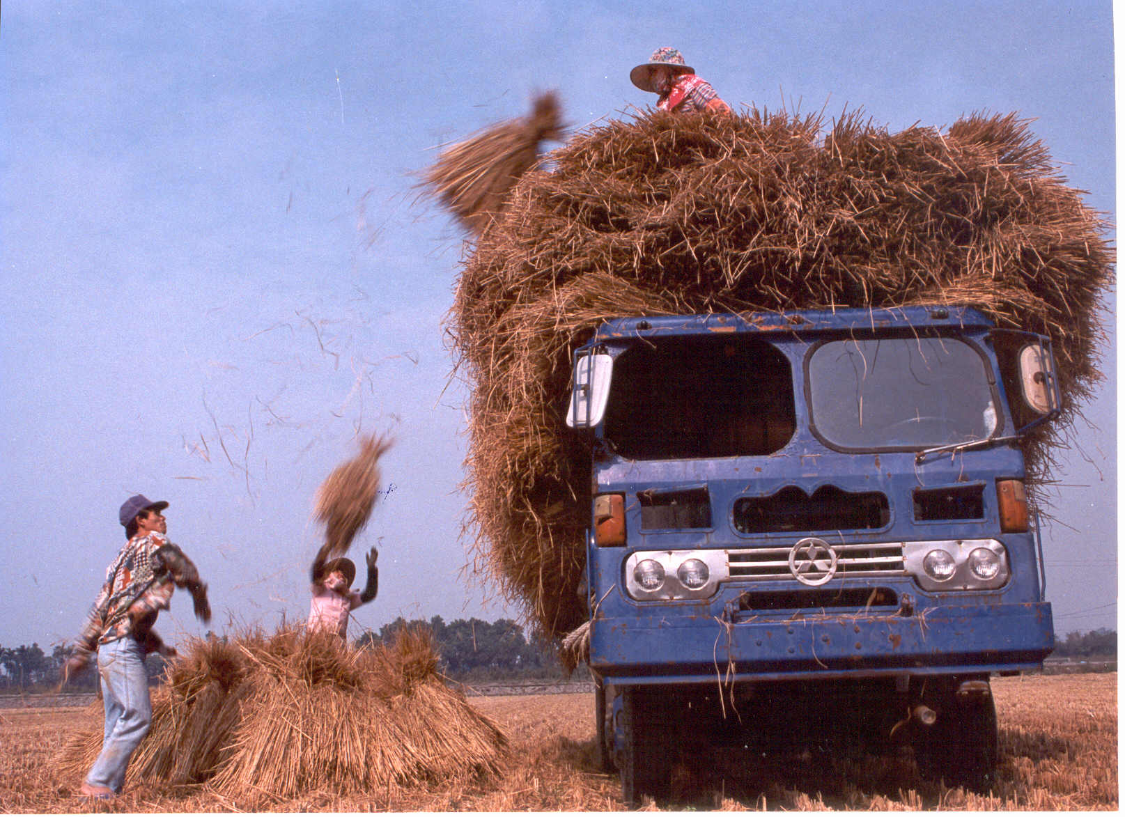 The industriousness of farmers boosted the development of light industry