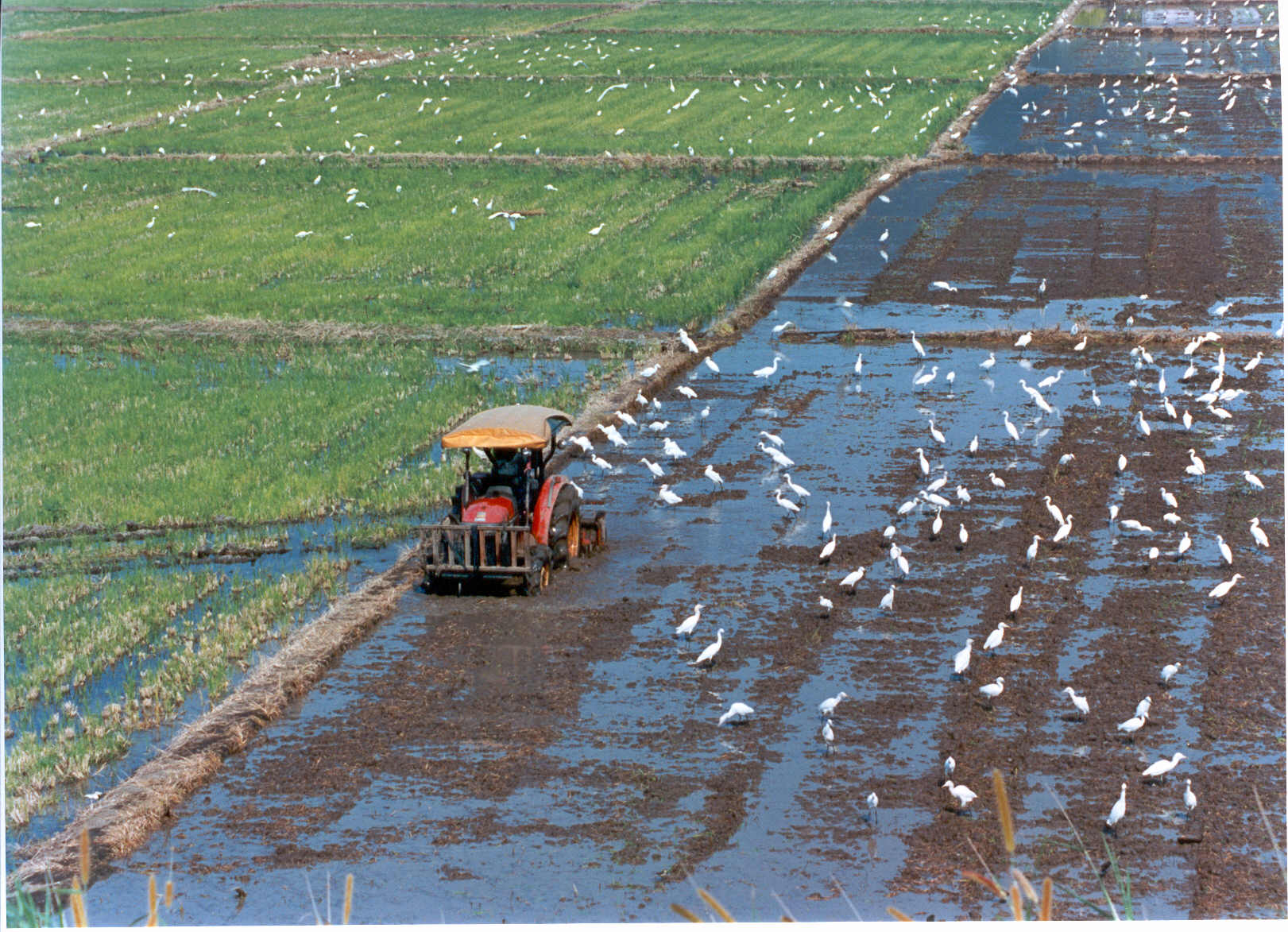 Expanding farmland re-adjustment