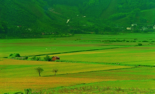 Land at the foot of mountains was often faced cloudy and rainy conditions with high humidity. In addition, the mountain springs and wells also brought abundant irrigation water, so there were fewer embankments and water storage facilities.