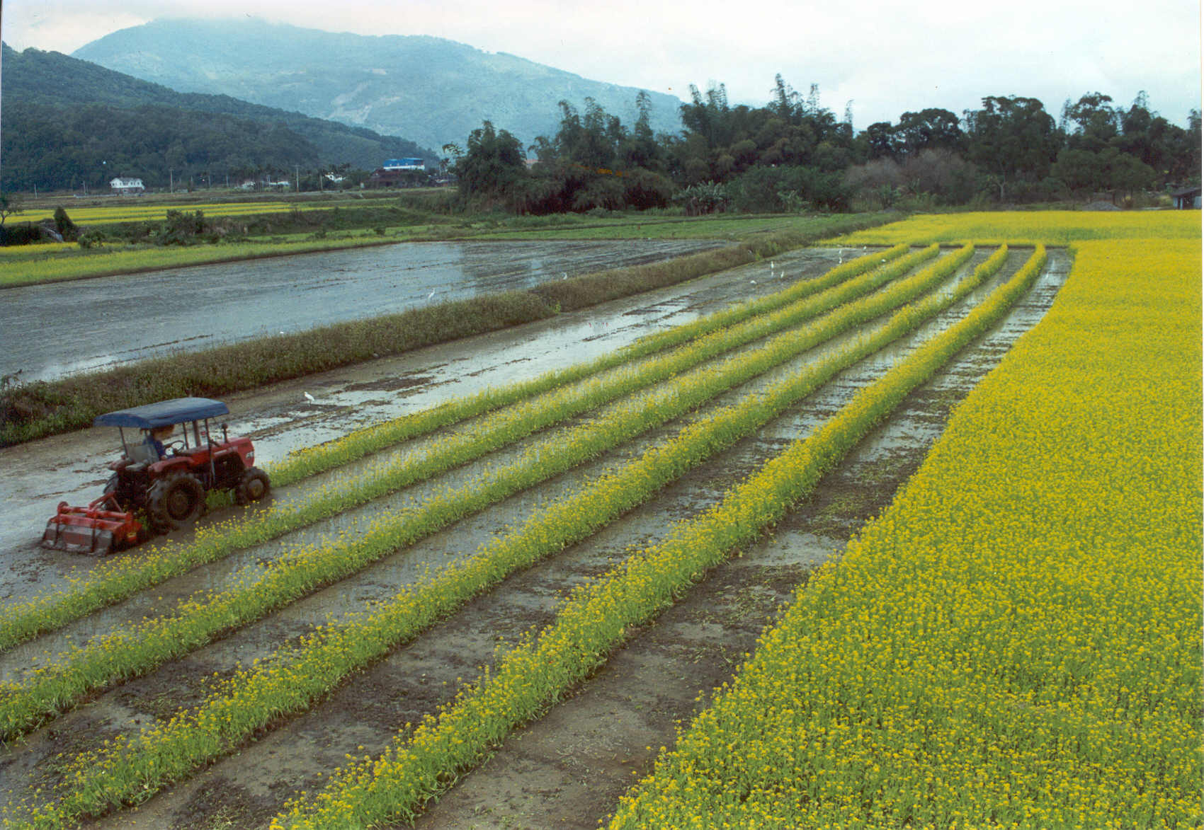 The implementation of farmland re-adjustment and mechanization greatly contributed to the improvement of farmland irrigation performance.