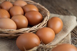 The Fipronil Egg Incident