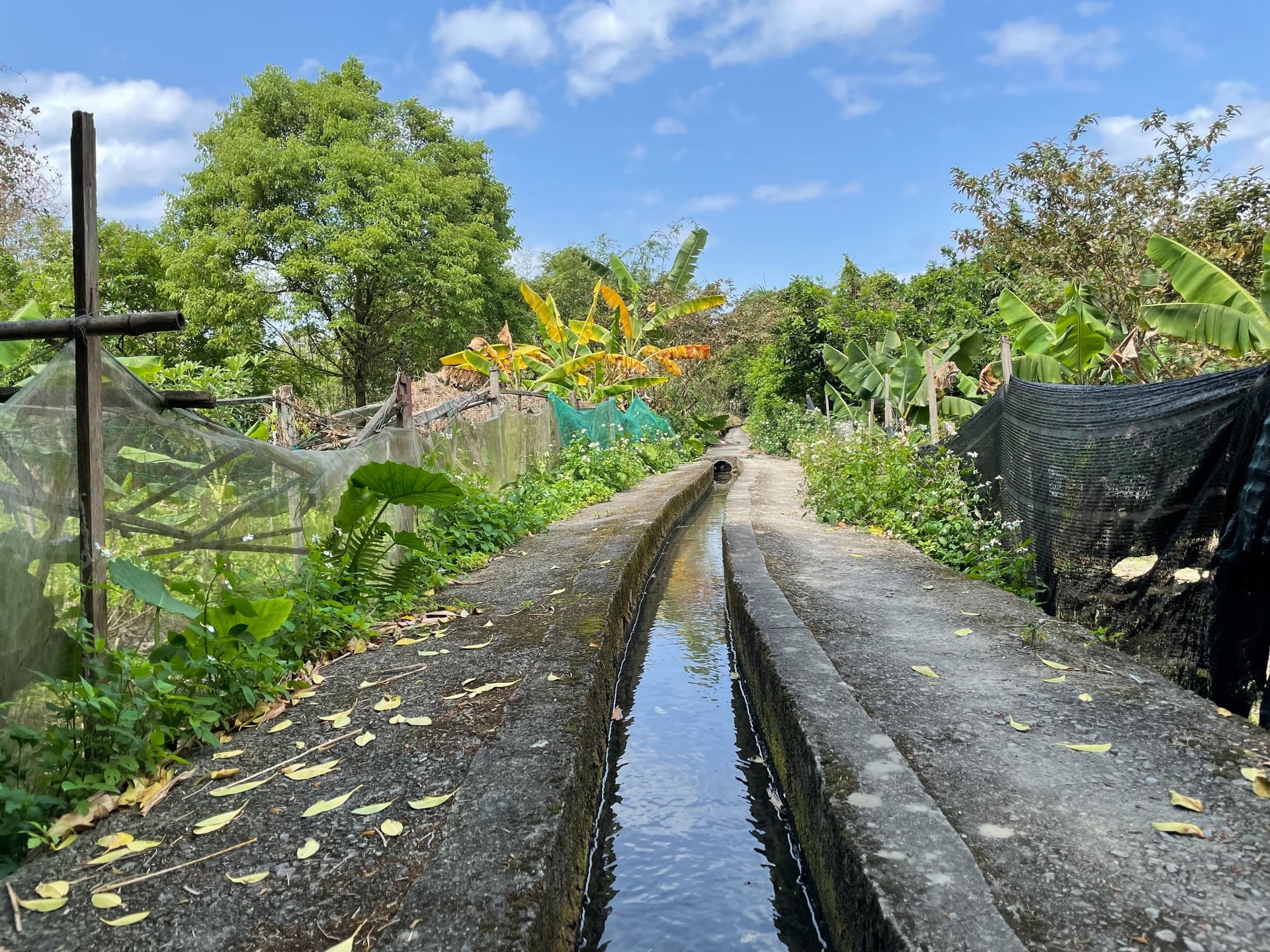 Eight Field Ditches of the Dapinglin Canal’s West Trunk Line