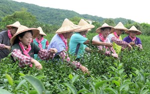 Project Briefing and Groundbreaking Ceremony for Expanded Irrigation Services in the Zhongshan Area,