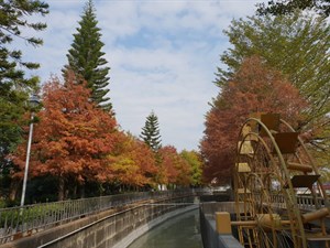 Linnei Diversion Works of Zhuo Main Canal Wins Excellence Award at Public Construction Golden Qualit