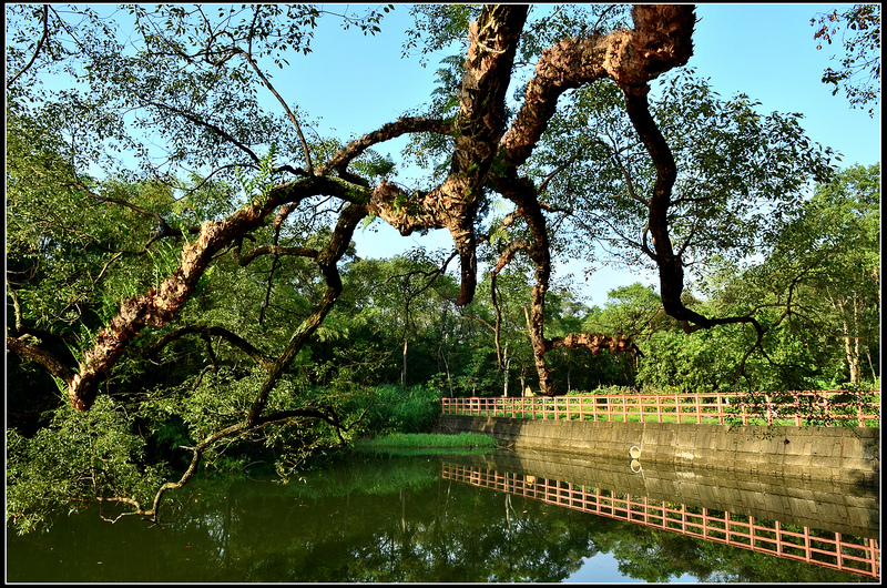 Sancha Pond