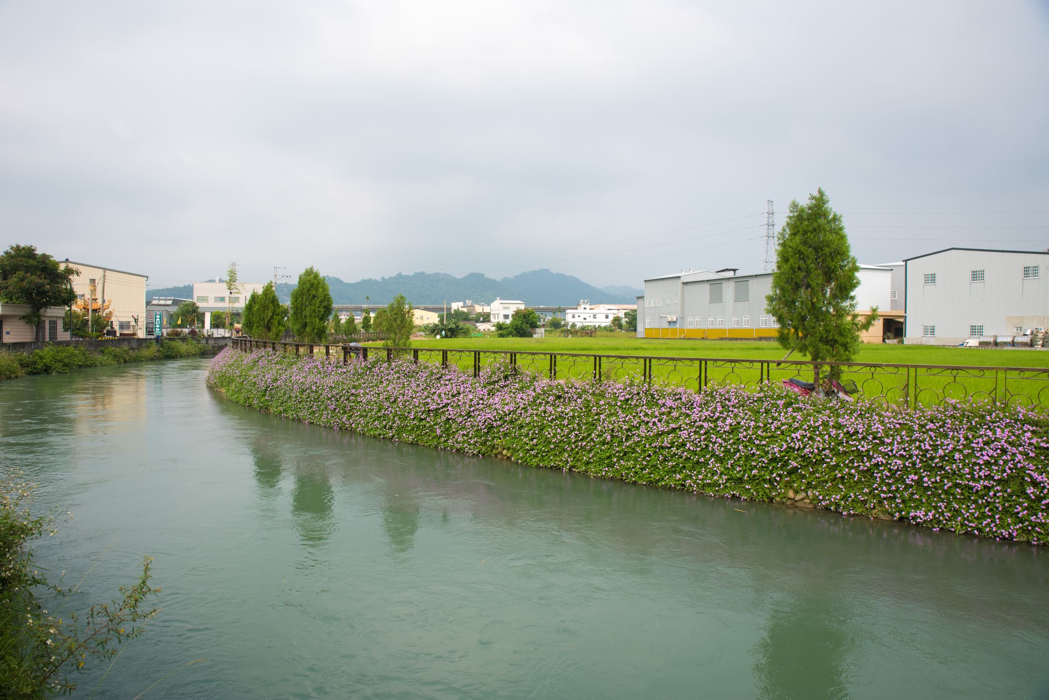 Huludun Canal Green Beautification Revetment