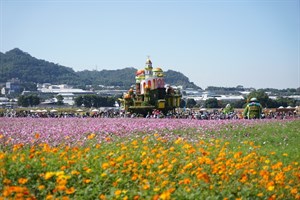 白冷圳灌溉新社花毯與農作物