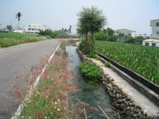 苗栗農田水利會~ 私礐圳生態體驗之旅