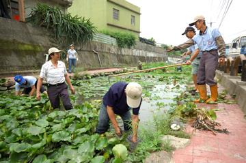 北勢湳蓮荷生態池打造新風貌