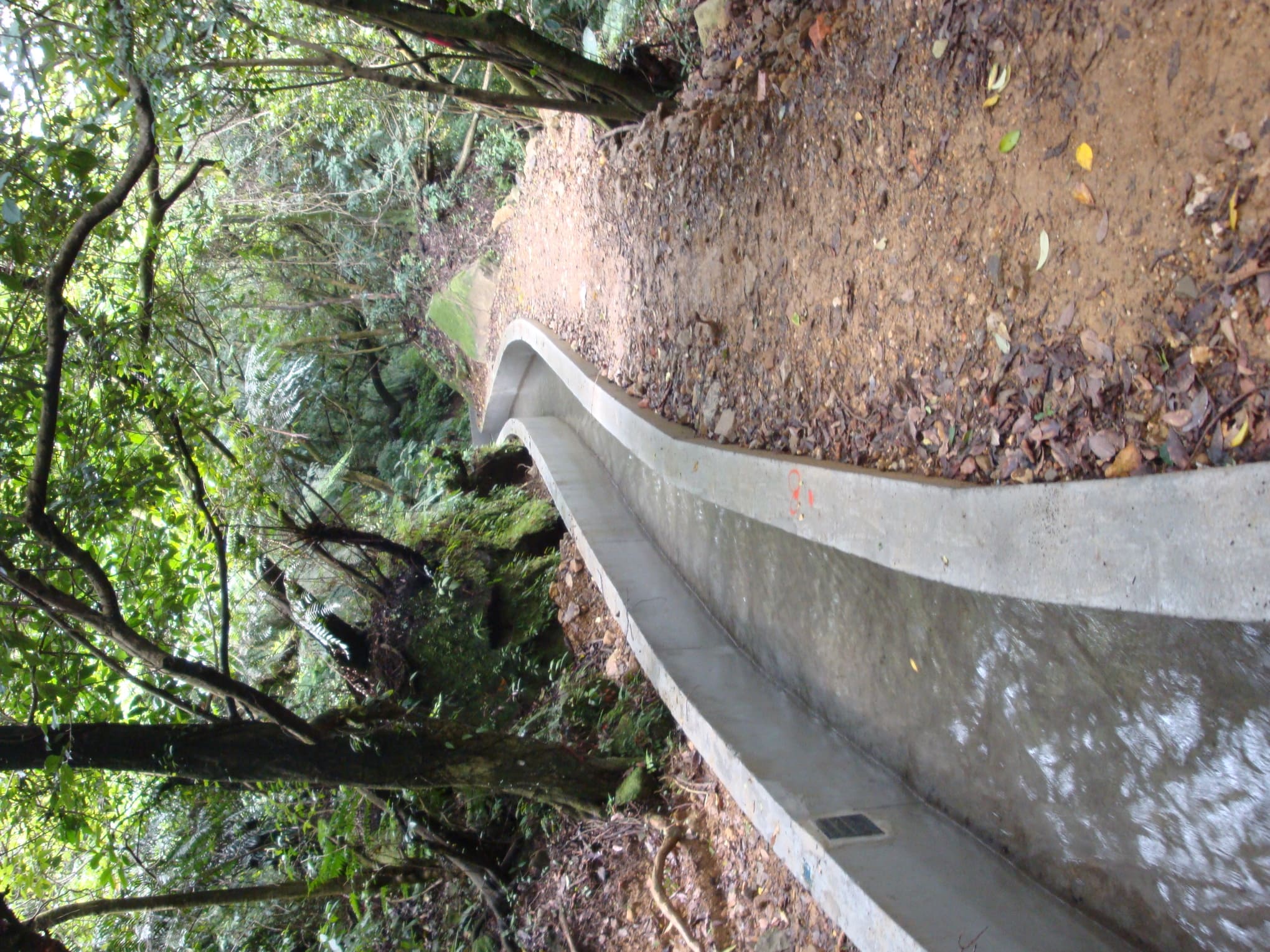 頂中股圳圳路風景