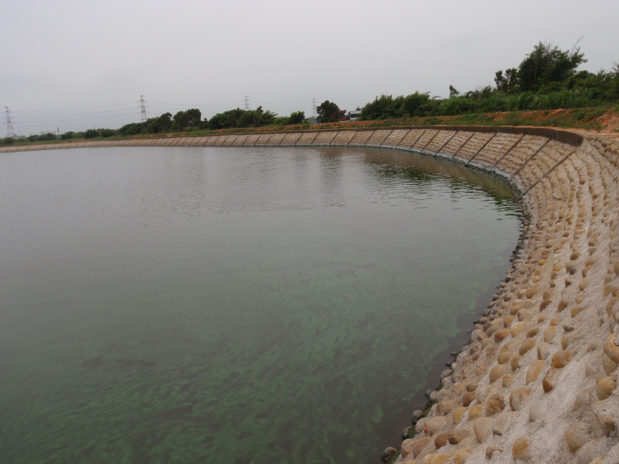 桃園大圳9-13號池風景