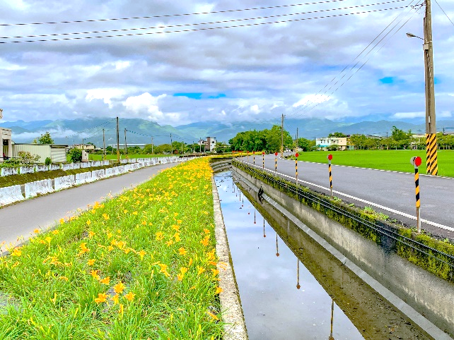 持續推動圳路綠美化工作及活化圳岸旁隙地種植