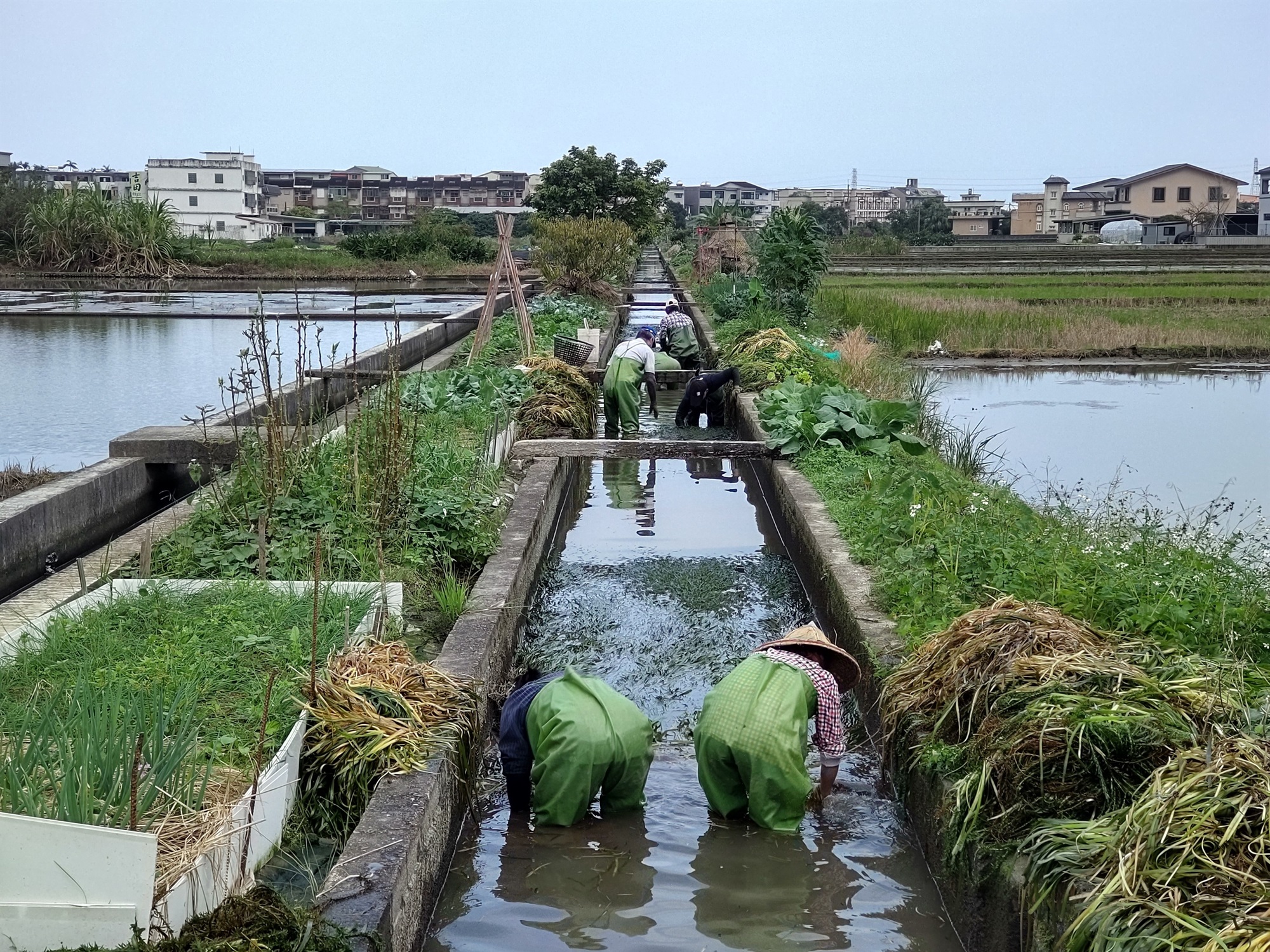 執行除草維護開口契約