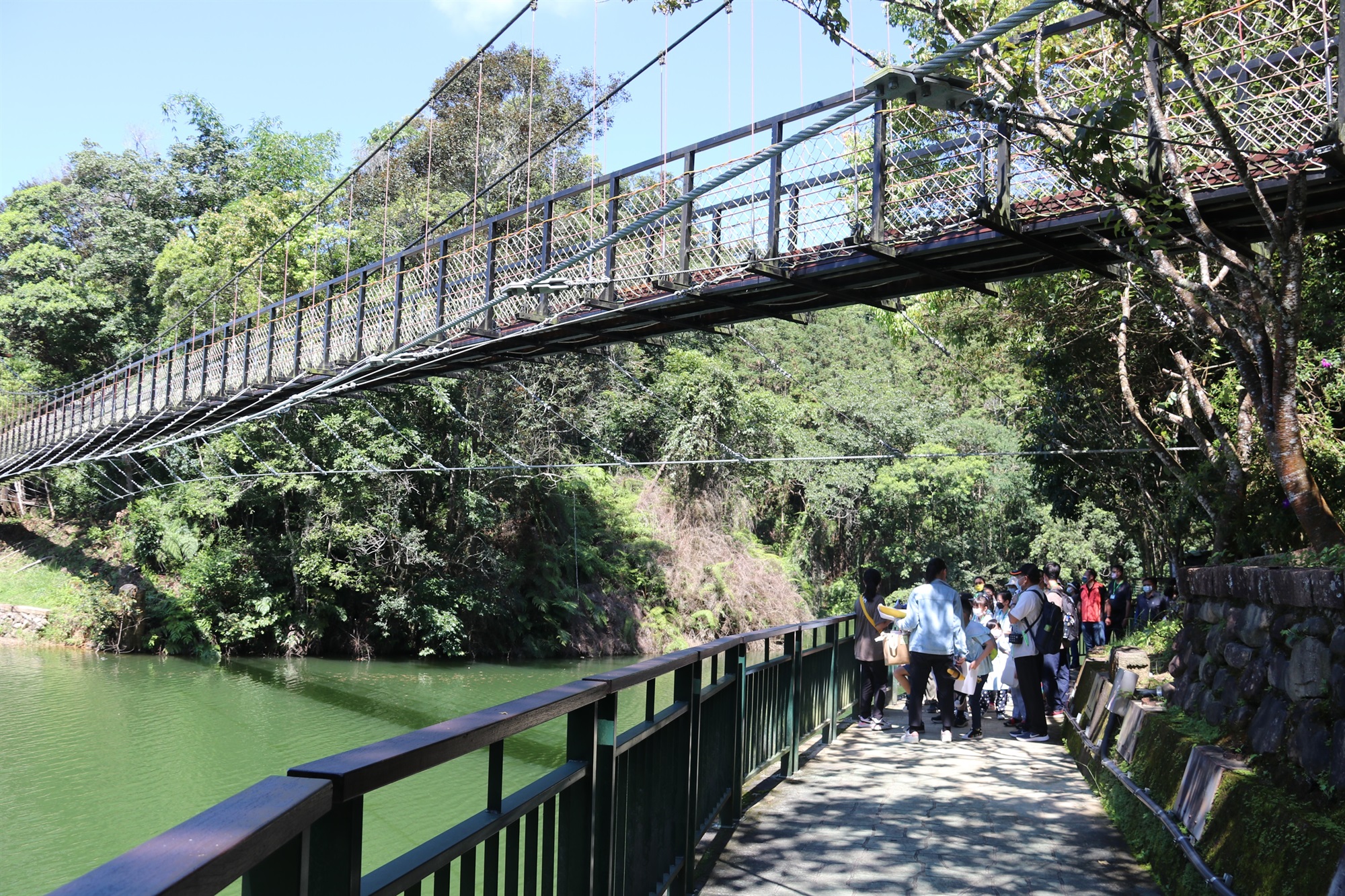 頭社水庫山龍坑吊橋