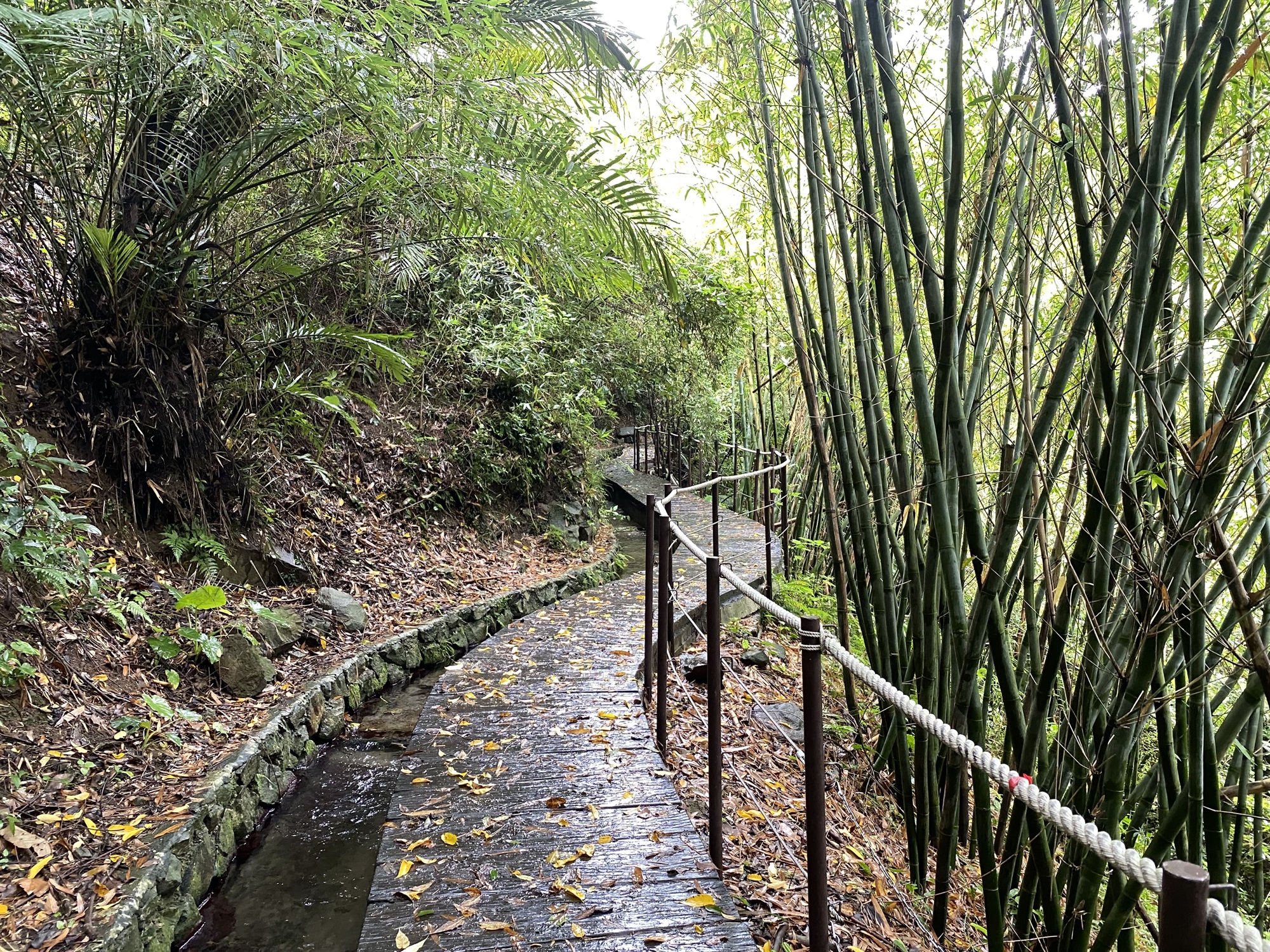 半嶺圳水圳步道