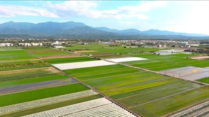 農地重劃後農田坵塊方正且臨水臨路，提升農業生產及經營效能