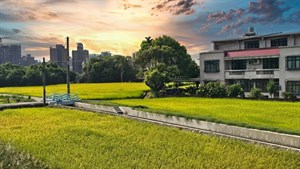 圖3 東興圳幹線改善融入新竹竹北農業地景