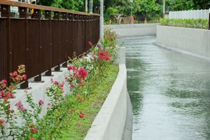 圖4_改善工程結合社區綠美化