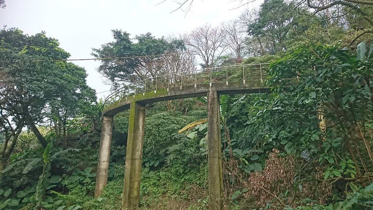 高架弧形渡槽跨越林谷而行，展現山區灌溉水路的工程尺度。