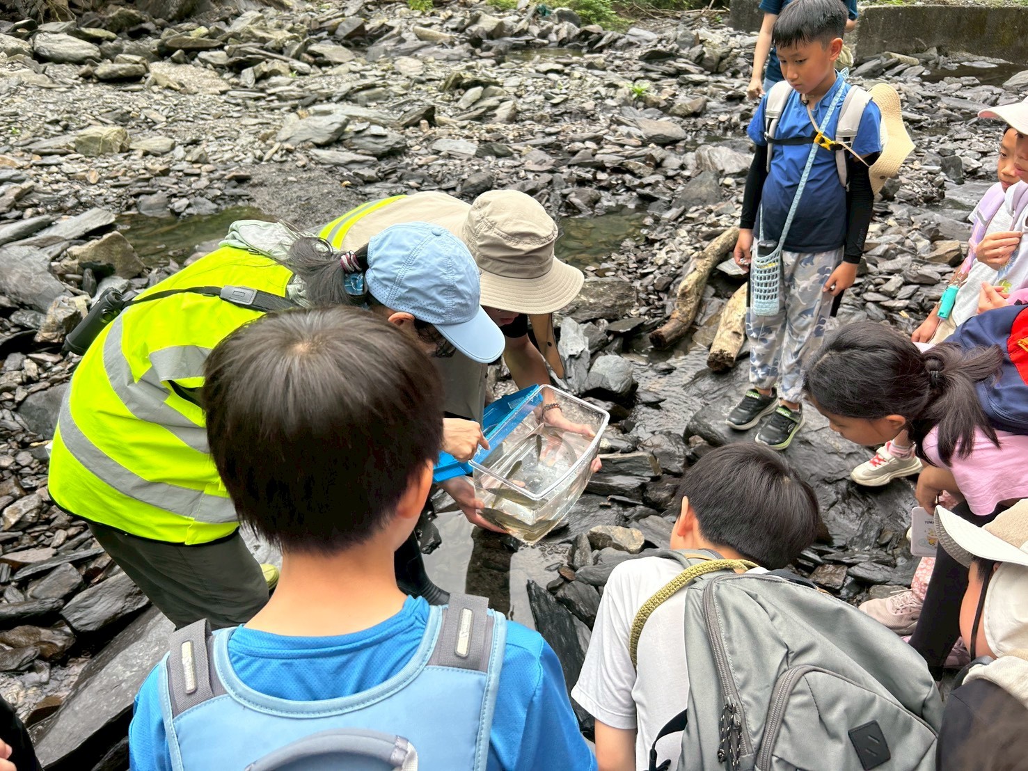 水環境教育活動