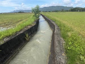 林田圳灌區供水情形