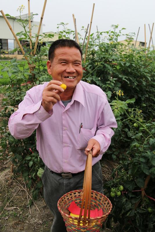林金潭委員無毒番茄園採果樂