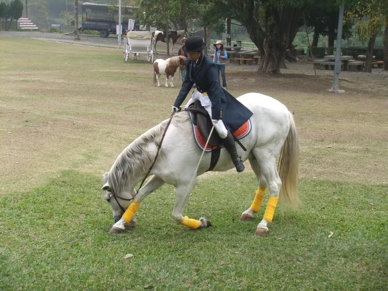「烏山頭水庫世界馬術表演及可愛動物秀」活動記者會